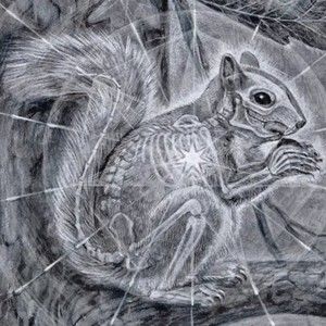 Meet your Posher, Alexander